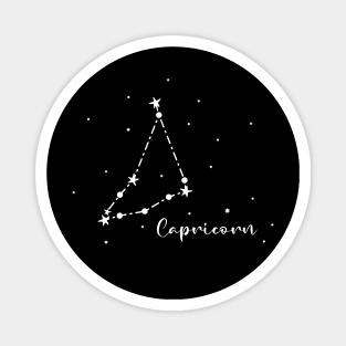 Capricorn Zodiac Constellation in The Dark Magnet